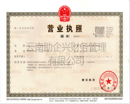 外資公司注冊