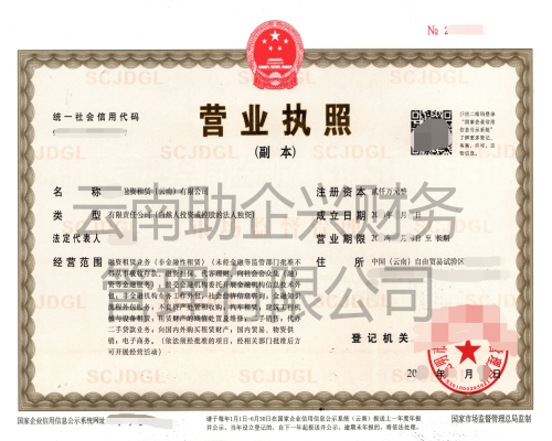 融資租賃公司、投資公司