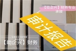 審計報告